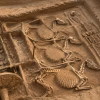 Ancient burial remains uncovered at the Sinauli excavation site in Baghpat