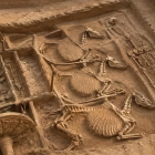 Ancient burial remains uncovered at the Sinauli excavation site in Baghpat