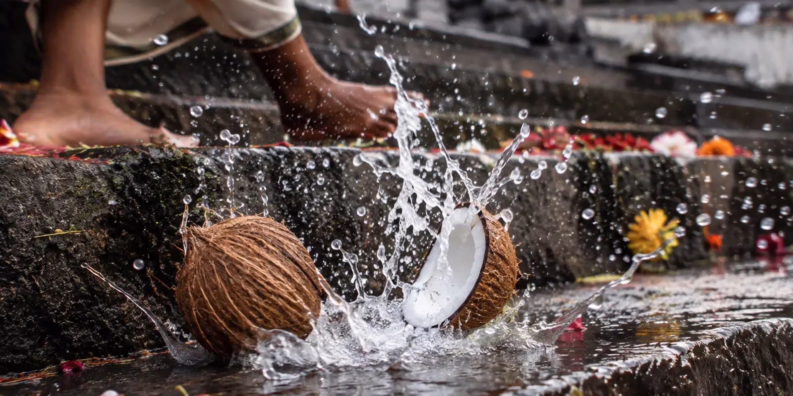 Why Do We Break a Coconut Before Starting Something New?